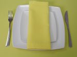 Luxury Plain Napkins 