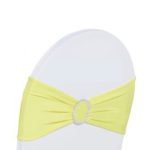bubblegum Spandex Buckle Lycra Bands
